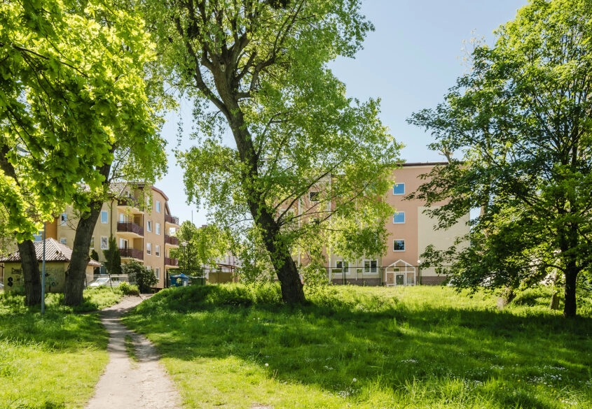 Słoneczne 2 pokoje, obok parku