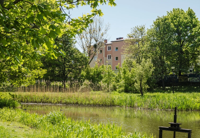 Słoneczne 2 pokoje, obok parku