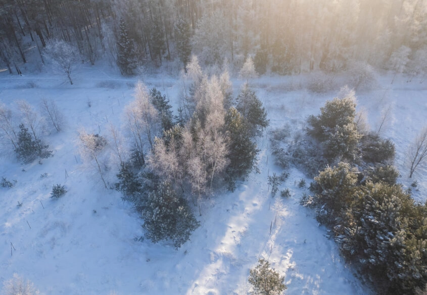 Piękna działka pod lasem 2257 m2  z wydaną WZ.