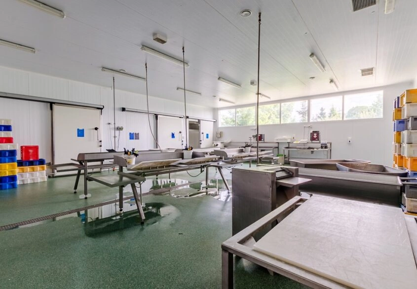 HALA POD PRODUKCJE SPOŻYWCZĄ GDAŃSK