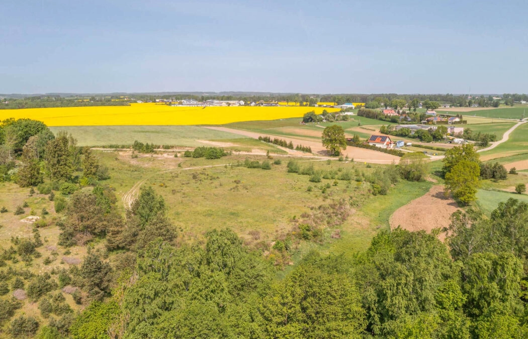 Unikatowa działka w pobliżu Jeziora Tuchomskiego!