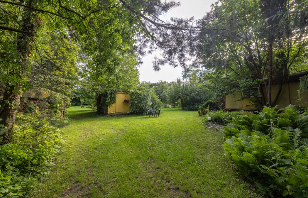 Działka budowlana z sadem i pasieką