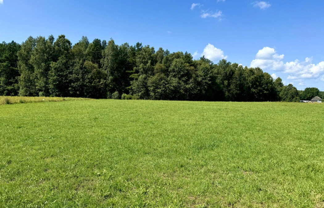 Pięknie położona działka pod lasem 30m od Gdańska!
