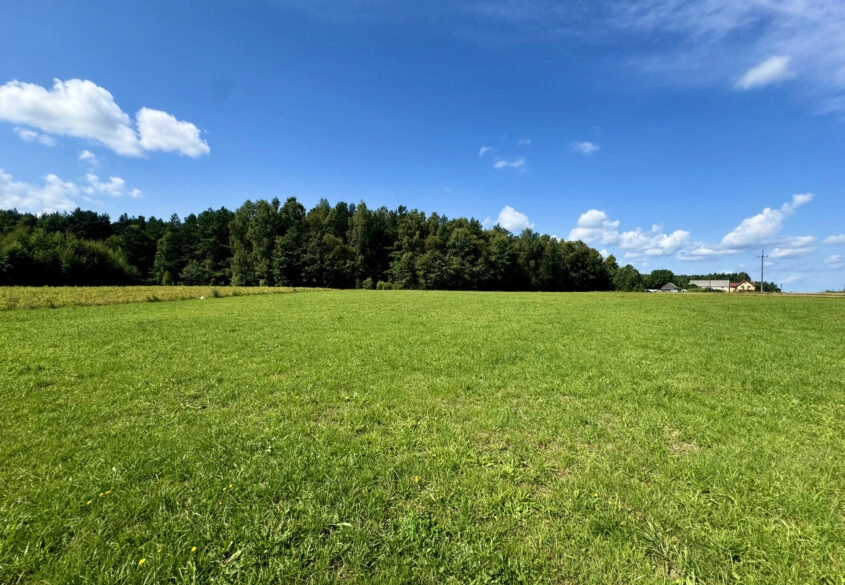 Pięknie położona działka pod lasem 30m od Gdańska!