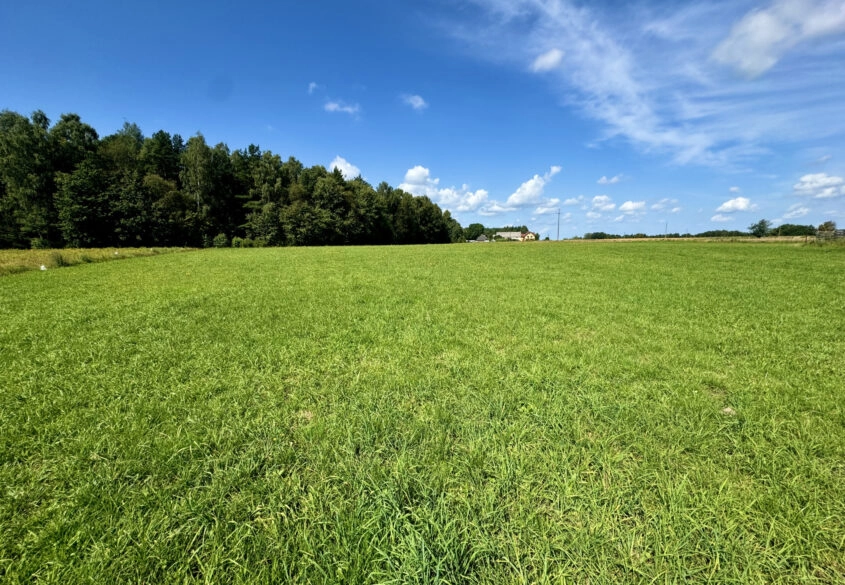 Pięknie położona działka pod lasem 30m od Gdańska!
