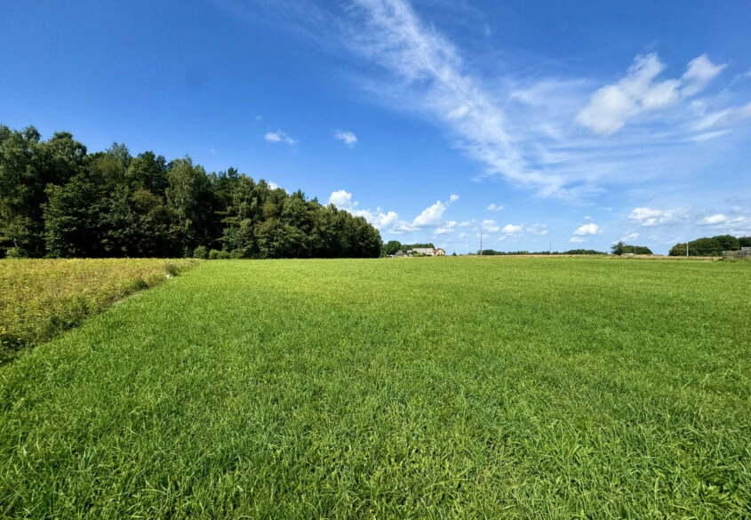 Pięknie położona działka pod lasem 30m od Gdańska!