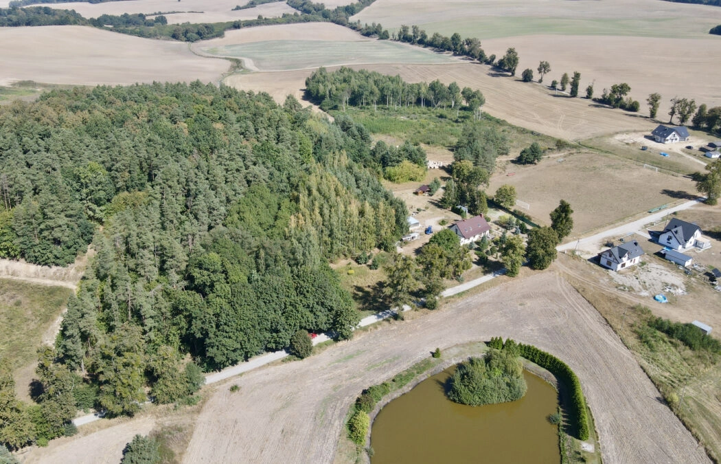 Działka leśna, Stare Miasto k. Dzierzgonia