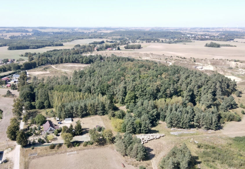 Działka leśna, Stare Miasto k. Dzierzgonia