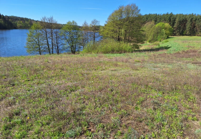 Działka Inwestycyjna Kościerzyna