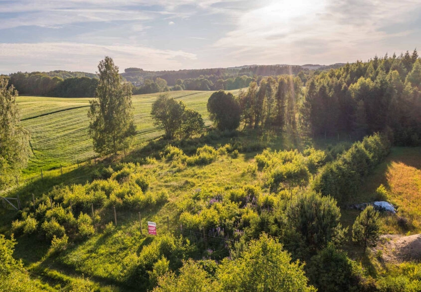 Duża działka w pięknej i spokojnej okolicy !