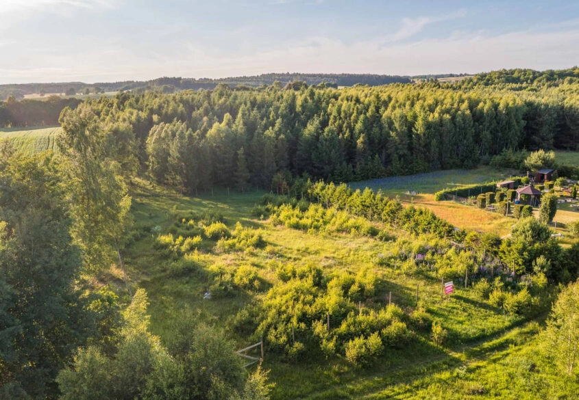 Duża działka w pięknej i spokojnej okolicy !