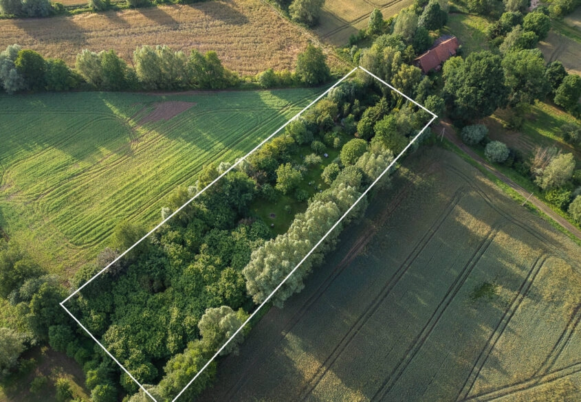 Działka budowlana z sadem i pasieką