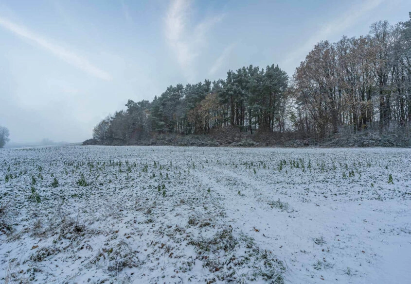 Duża działka pod korzystną inwestycję