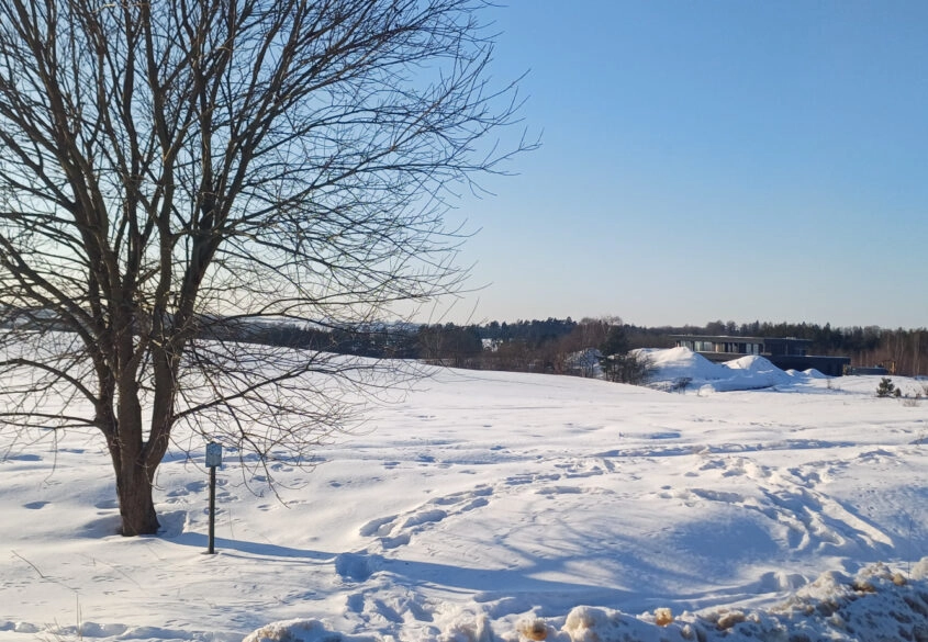 Działka budowlana Żukowo ul. Leśna