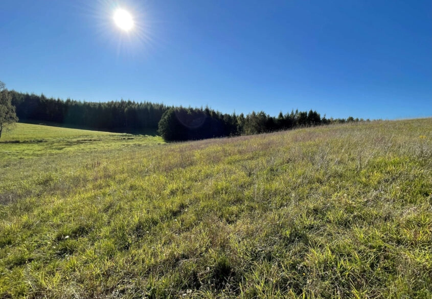 3,44 ha siedlisko, jezioro