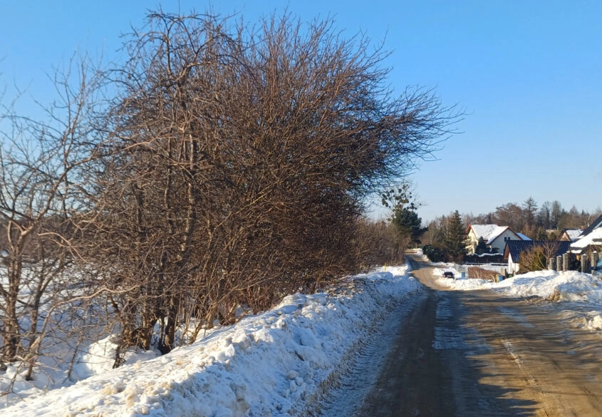Działka budowlana Żukowo ul. Leśna