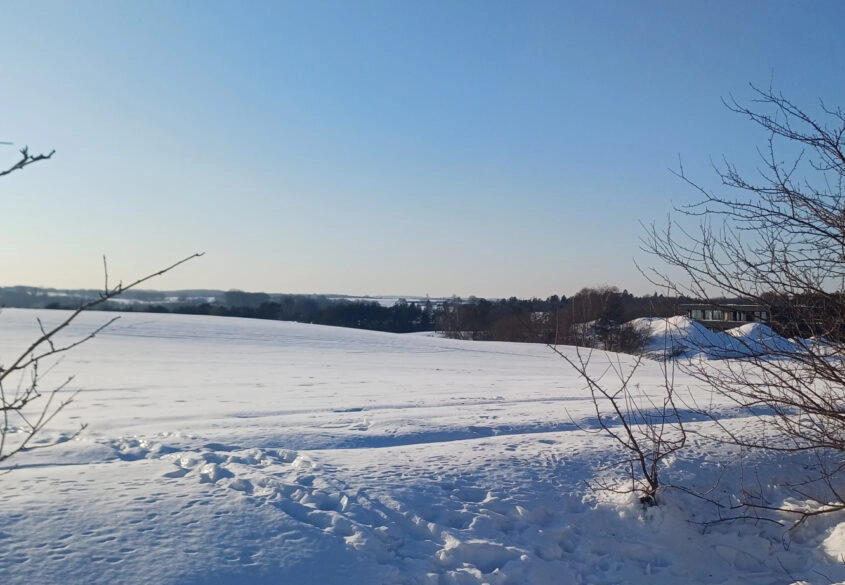 Działka budowlana Żukowo ul. Leśna