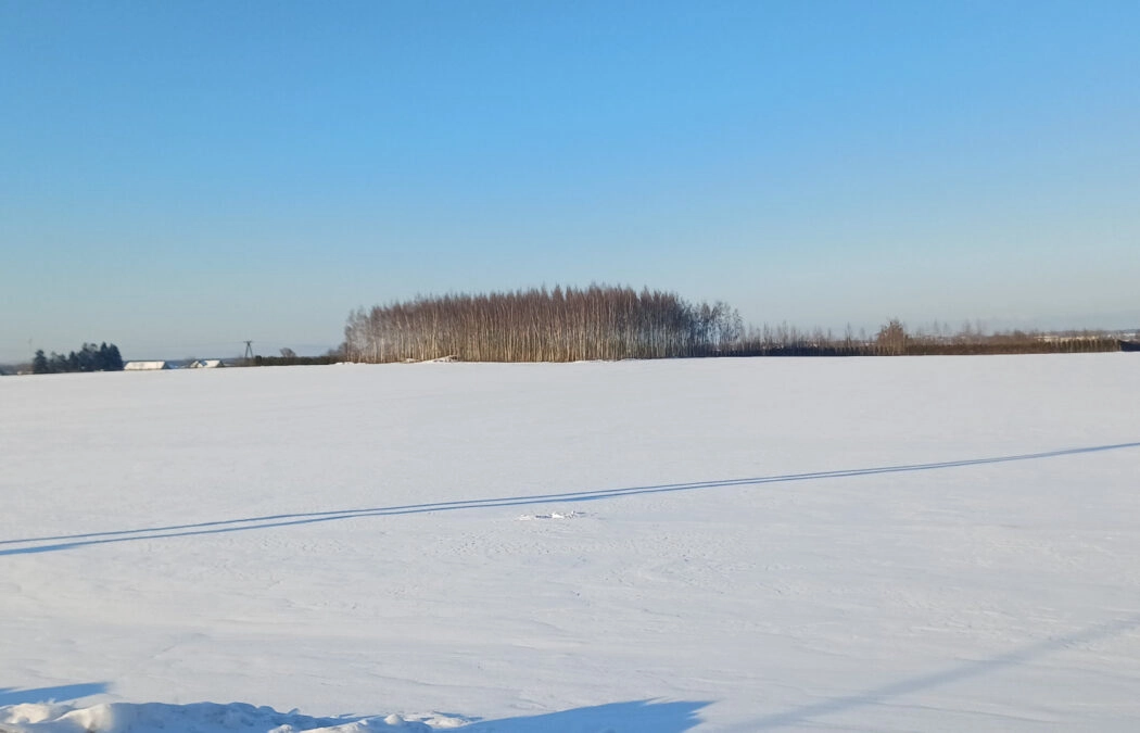 Twoja działka pod dom w Gdańsku – 1258 m² | Bysewo