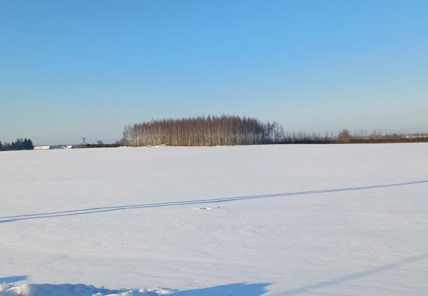 Twoja działka pod dom w Gdańsku – 1258 m² | Bysewo