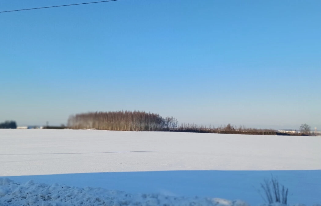 Twoja działka pod dom w Gdańsku – 1045 m2 | Bysewo