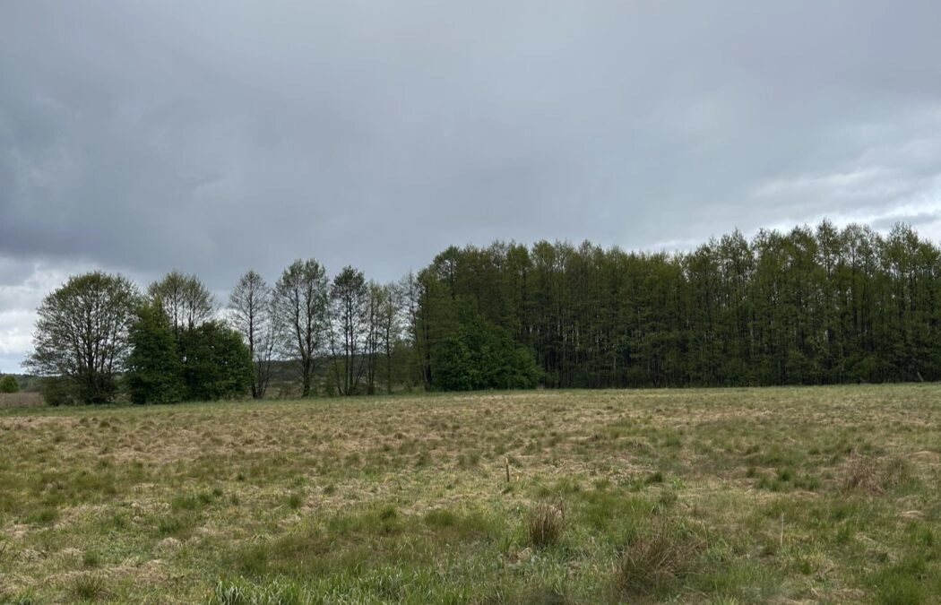 Działki w malowniczej lokalizacji Bory Tucholskie