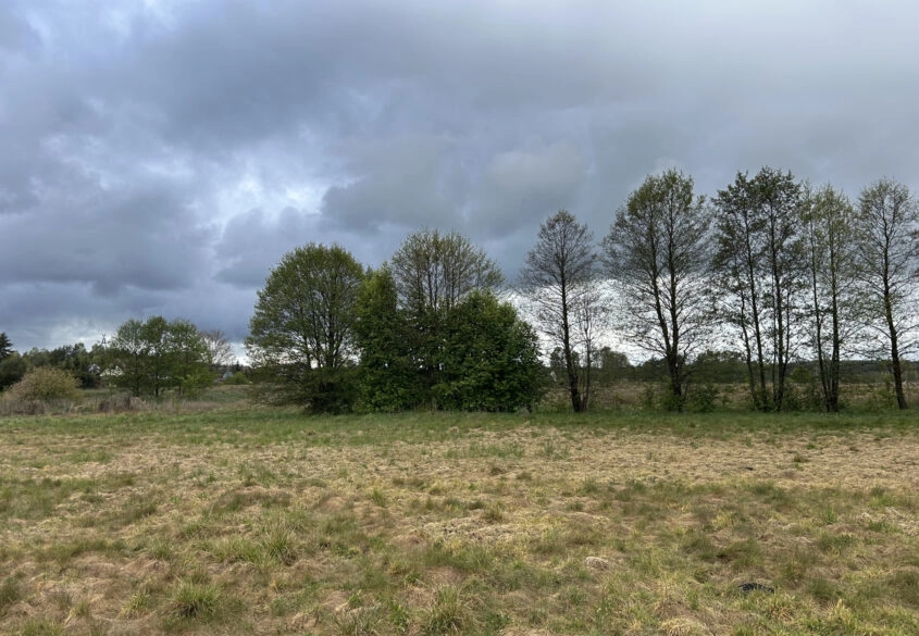 Działki w malowniczej lokalizacji Bory Tucholskie