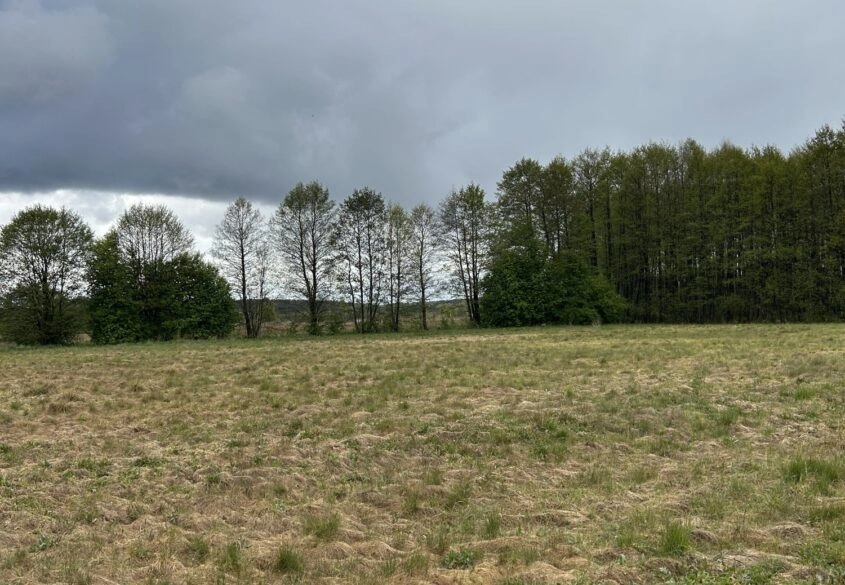 Działki w malowniczej lokalizacji Bory Tucholskie