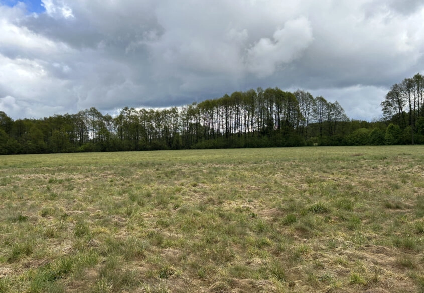 Działki w malowniczej lokalizacji Bory Tucholskie