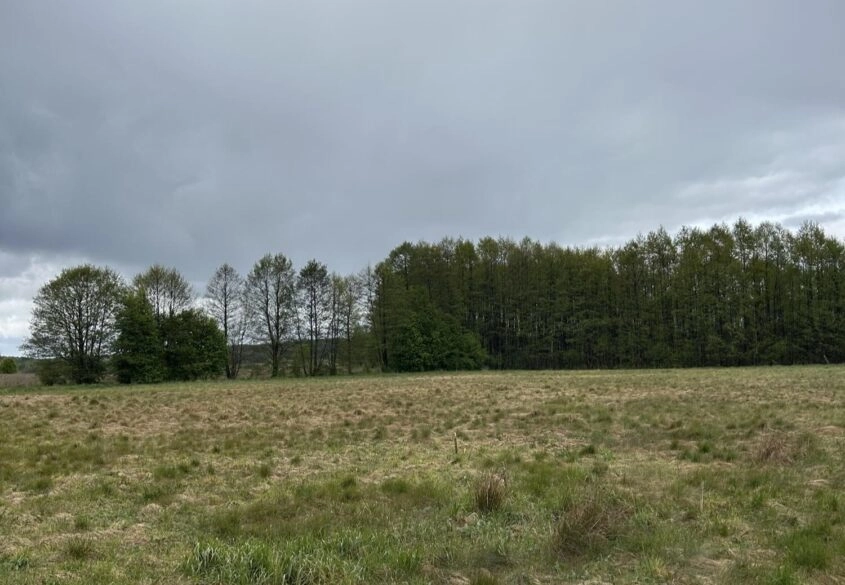 Działki w malowniczej lokalizacji Bory Tucholskie