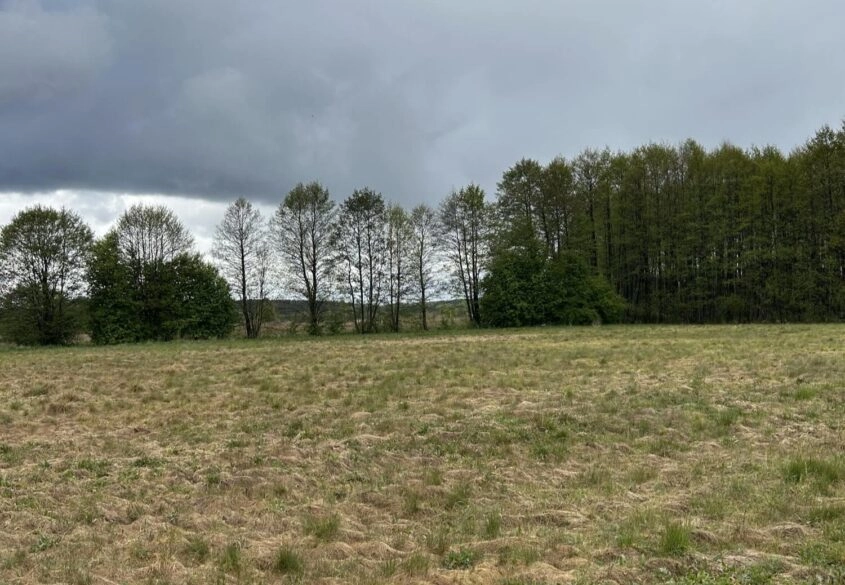 Działki w malowniczej lokalizacji Bory Tucholskie
