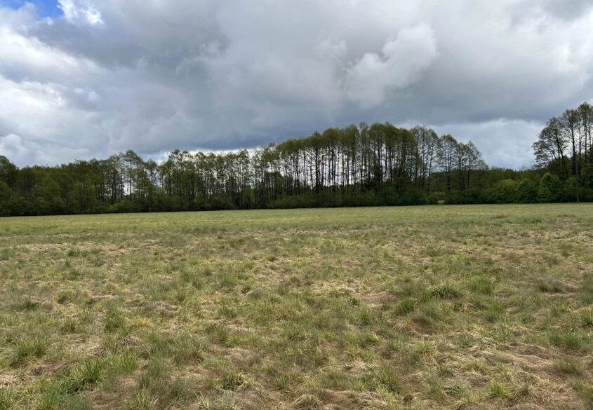 Działki w malowniczej lokalizacji Bory Tucholskie