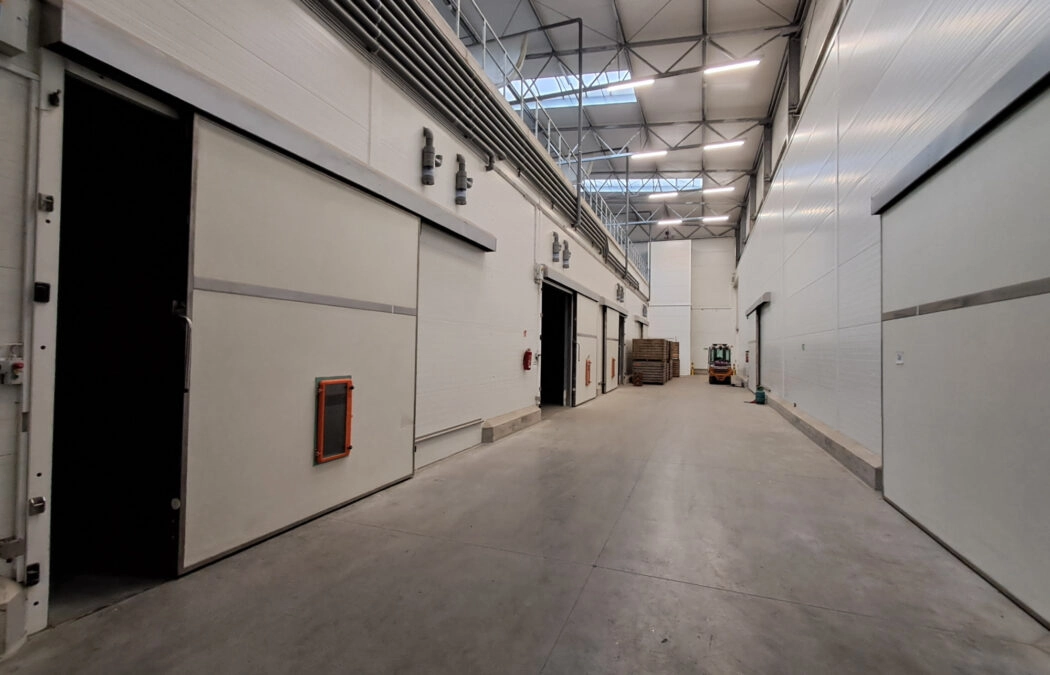 Standard Chłodniczy 0°C lub zwykły magazyn