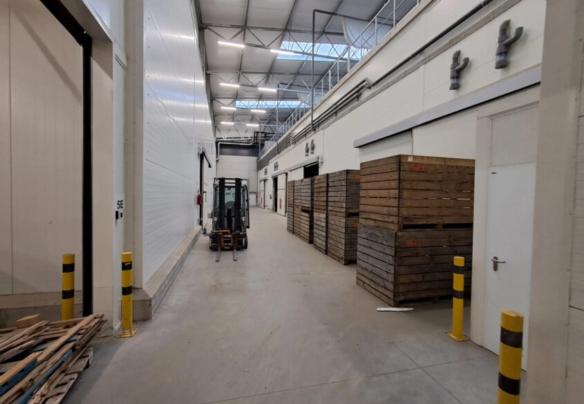 Standard Chłodniczy 0°C lub zwykły magazyn