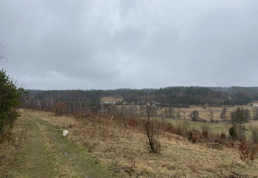 Urokliwa działka na wsi