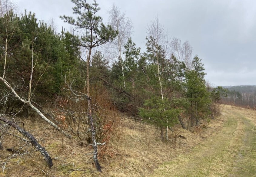 Urokliwa działka na wsi