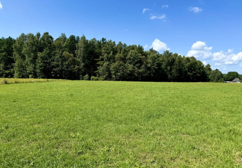 Pięknie położona działka pod lasem 30m od Gdańska!