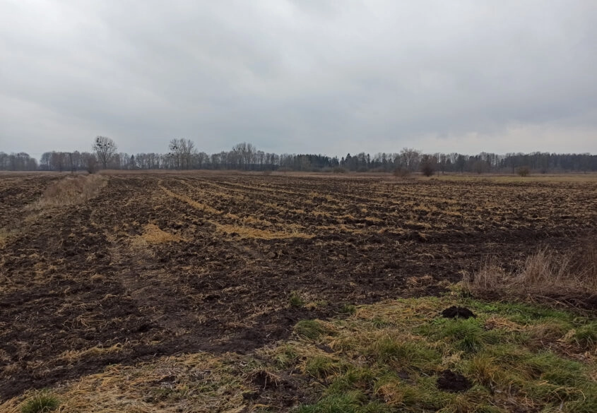 Ziemia rolna, Roszkowo obok Pruszcza Gd. 4 hekatry