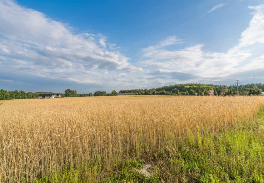 Działka Chwaszczyno - inwestycja z potencjałem