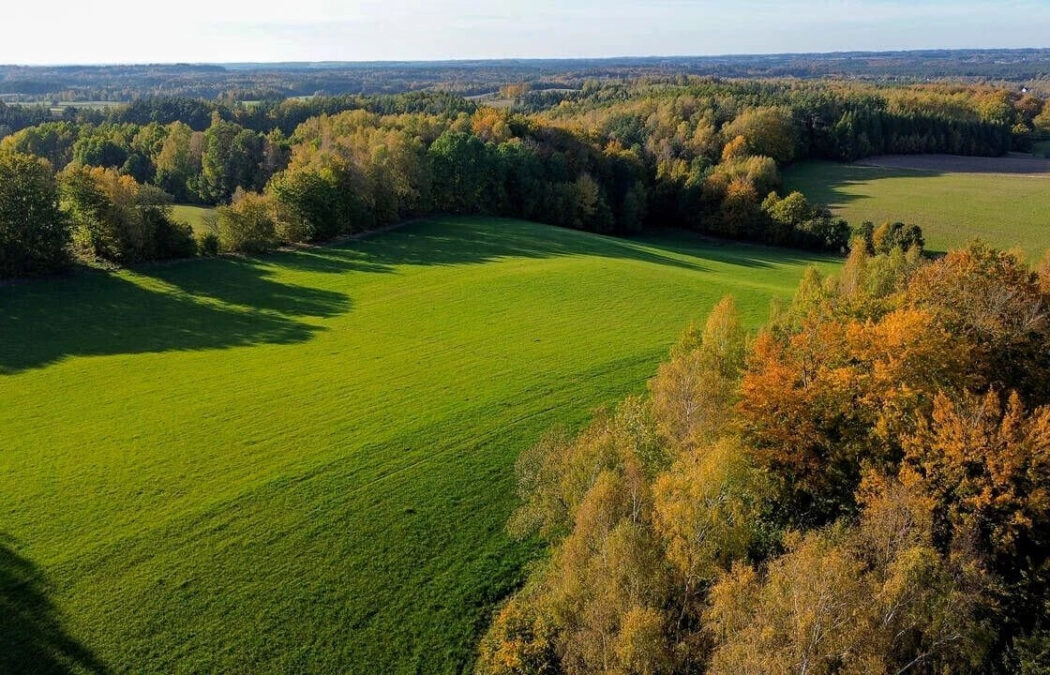 Blisko lasu i jeziora! Pod zabudowę jednorodzinną!