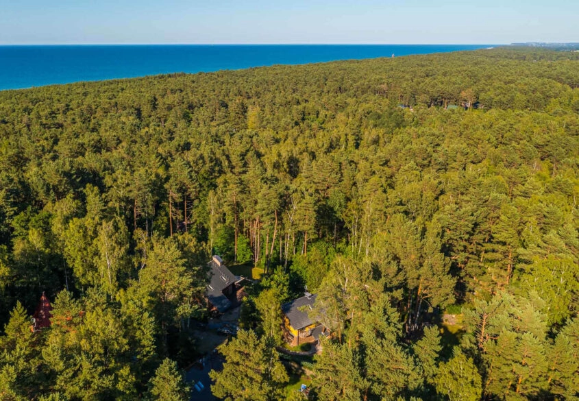 Apartament w otulinie lasu - 400 m od morza!