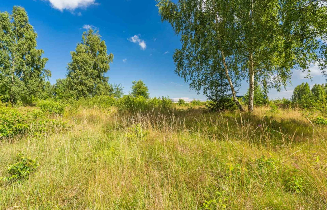 Warunki zabudowy | Prąd, woda | Ślepa uliczka