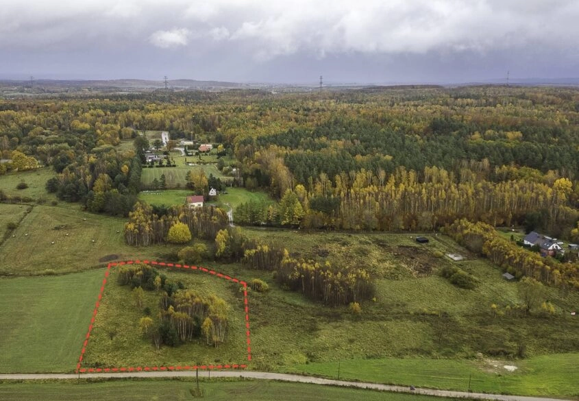 Duża Działka Zagrodowa w Cichej Okolicy!