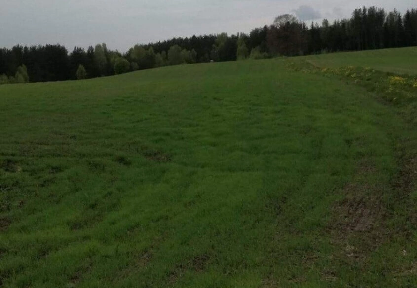 Działka pod dom, w sercu Kaszub, pod lasem