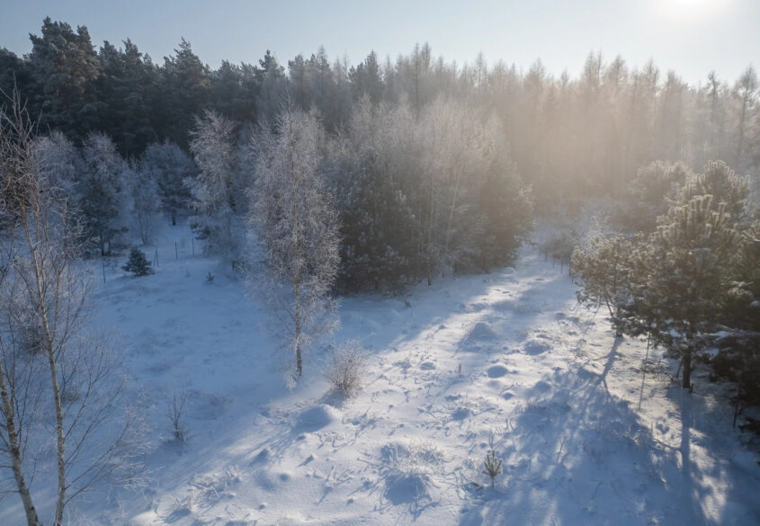Piękna działka pod lasem 2257 m2 z wydaną WZKą!!.