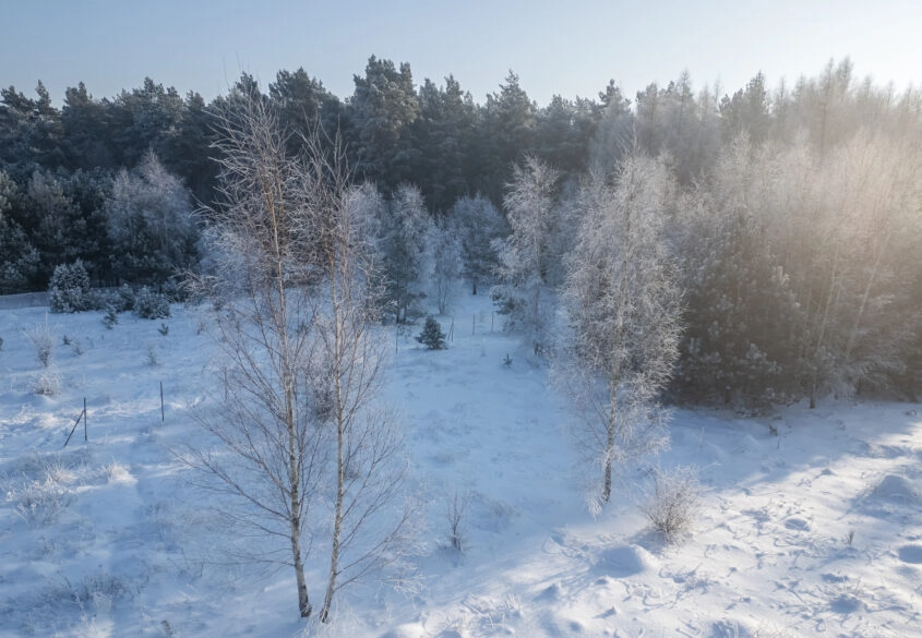 Piękna działka pod lasem 2257 m2 z wydaną WZKą!!.