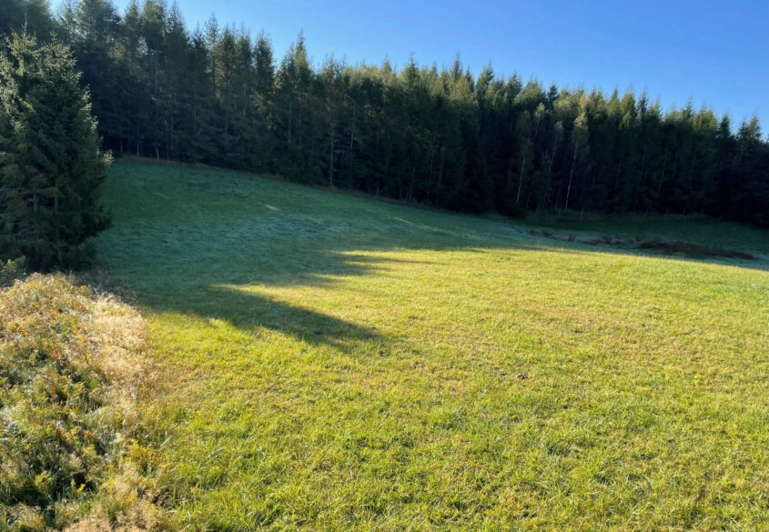 3,44 ha siedlisko, jezioro