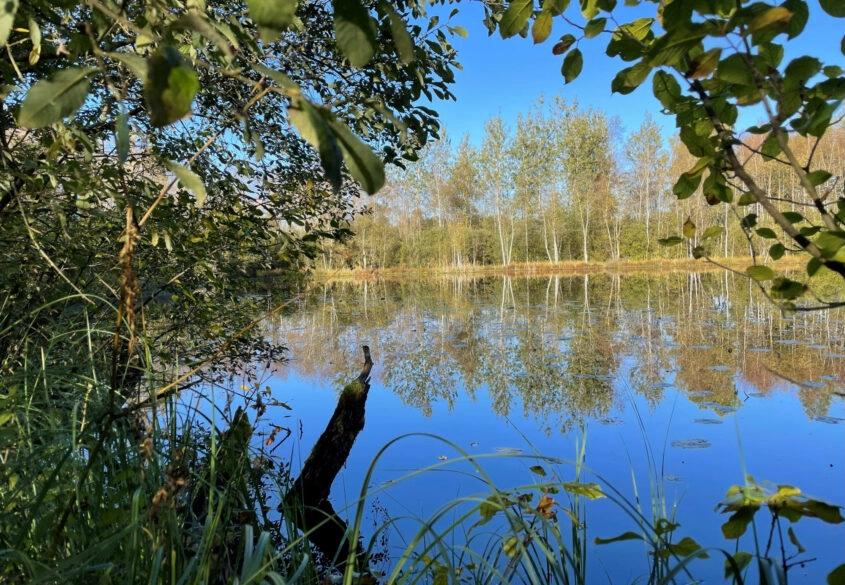 3,44 ha siedlisko, jezioro