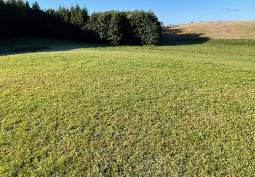 3,44 ha siedlisko, jezioro