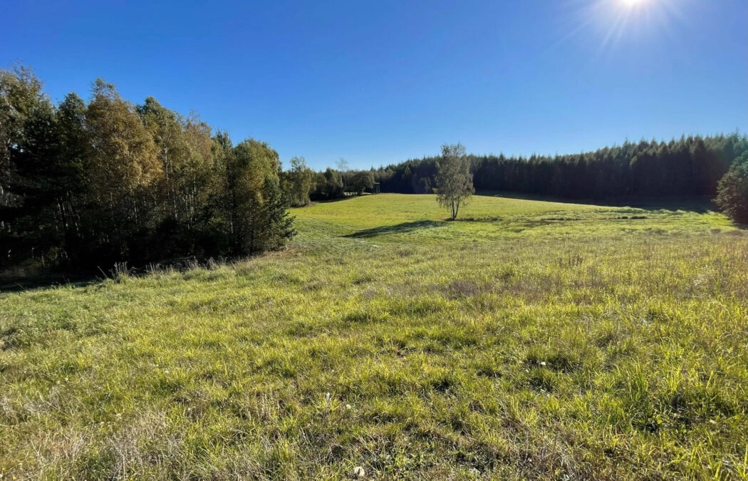 3,44 ha siedlisko, jezioro