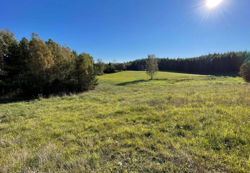 3,44 ha siedlisko, jezioro